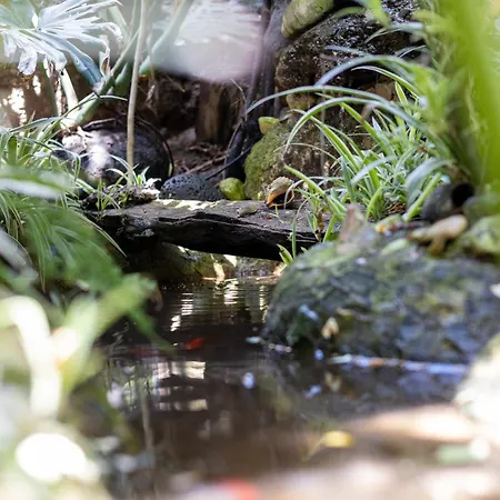 Il Giardino Di Chiara