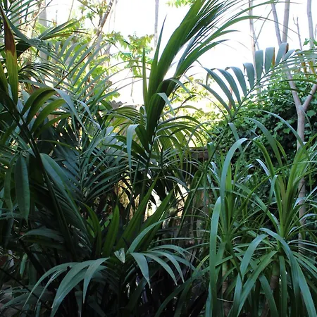 Il Giardino Di Chiara *