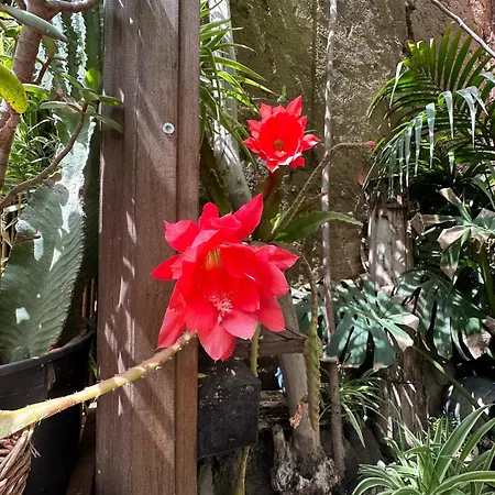 Il Giardino Di Chiara *