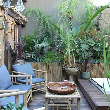 Il Giardino Di Chiara 3* 奥里斯塔诺