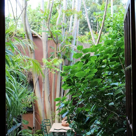 住宿加早餐酒店 Il Giardino Di Chiara 奥里斯塔诺