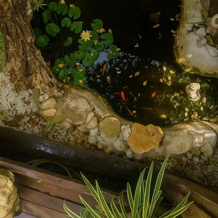 住宿加早餐酒店 Il Giardino Di Chiara 奥里斯塔诺