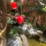 فندق مبيت وإفطار Il Giardino Di Chiara أوريستانو