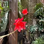 Il Giardino Di Chiara 3*