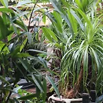 Il Giardino Di Chiara 3*
