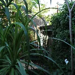 Il Giardino Di Chiara فندق مبيت وإفطار 3*