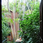 فندق مبيت وإفطار Il Giardino Di Chiara أوريستانو