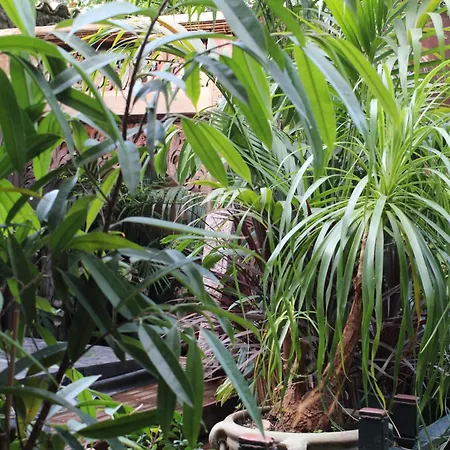 Il Giardino Di Chiara 3*