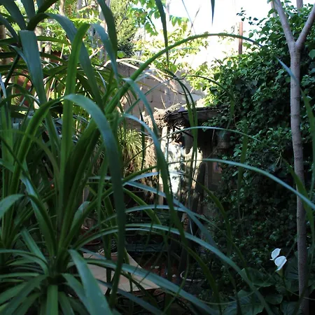 Il Giardino Di Chiara Bed & Breakfast *