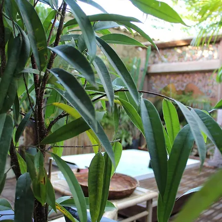 Frühstückspension Il Giardino Di Chiara Oristano