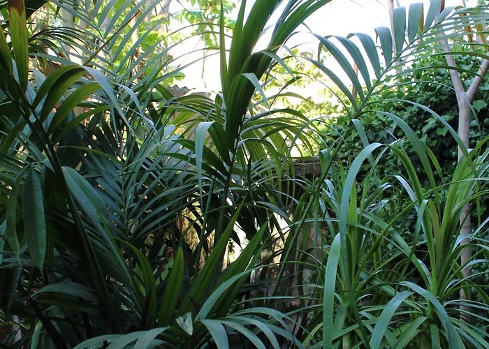 Il Giardino Di Chiara 3*