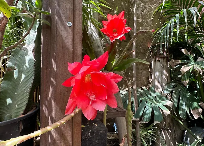 Il Giardino Di Chiara 3*