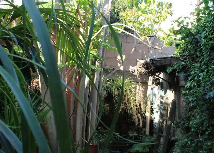 Il Giardino Di Chiara Oristano