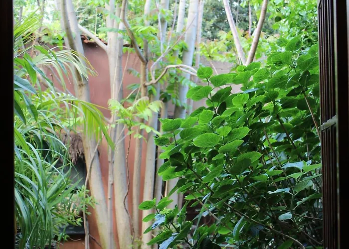 Oda ve Kahvaltı Il Giardino Di Chiara Oristano